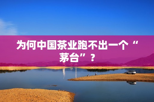 为何中国茶业跑不出一个“茅台”？