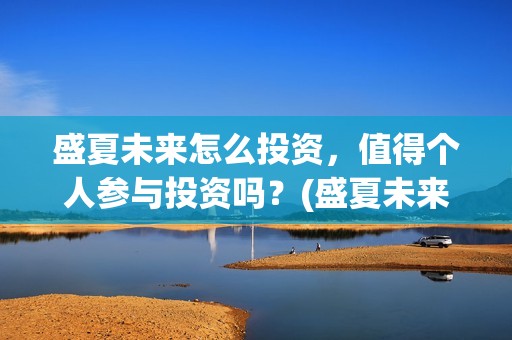 盛夏未来怎么投资,值得个人参与投资吗?(盛夏未来能投吗) 盛夏未来怎么投资,值得个人参与投资吗?(盛夏未来能投吗)