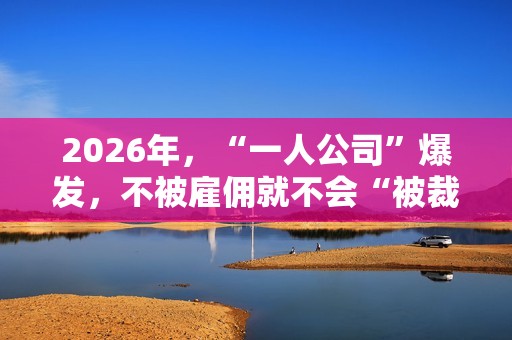 2026年，“一人公司”爆发，不被雇佣就不会“被裁”