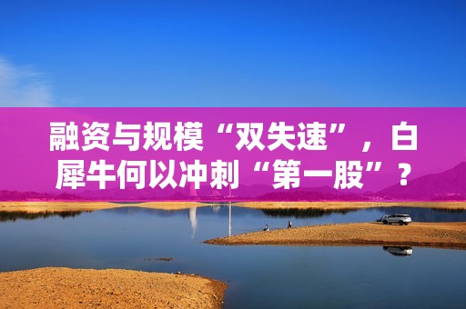 融资与规模“双失速”，白犀牛何以冲刺“第一股”？