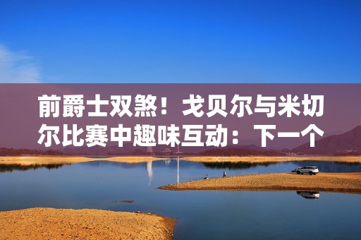 前爵士双煞！戈贝尔与米切尔比赛中趣味互动：下一个球赌现金！