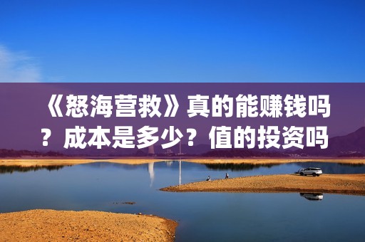 《怒海营救》真的能赚钱吗？成本是多少？值的投资吗？(怒海营救什么时候开机)