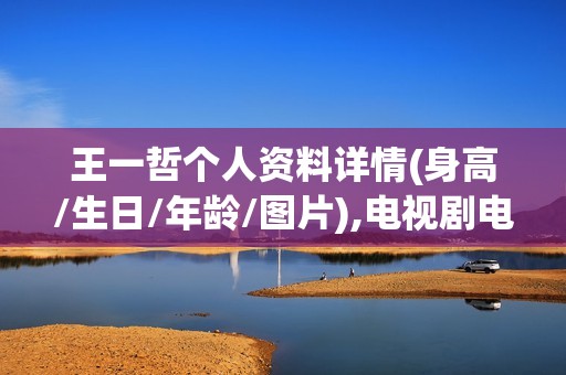 王一哲个人资料详情(身高/生日/年龄/图片),电视剧电影作品