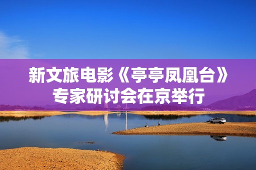 新文旅电影《亭亭凤凰台》专家研讨会在京举行