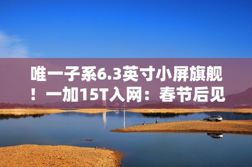 唯一子系6.3英寸小屏旗舰！一加15T入网：春节后见