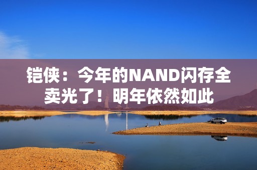 铠侠：今年的NAND闪存全卖光了！明年依然如此