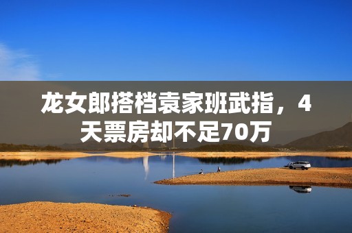 龙女郎搭档袁家班武指，4天票房却不足70万