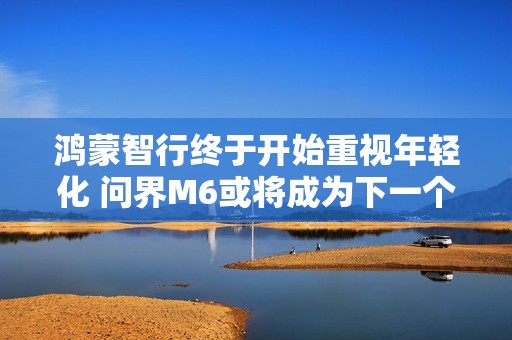 鸿蒙智行终于开始重视年轻化 问界M6或将成为下一个爆款