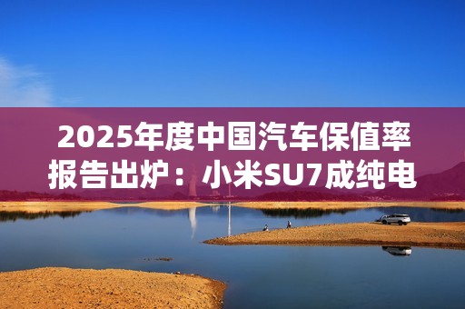 2025年度中国汽车保值率报告出炉：小米SU7成纯电动车第一