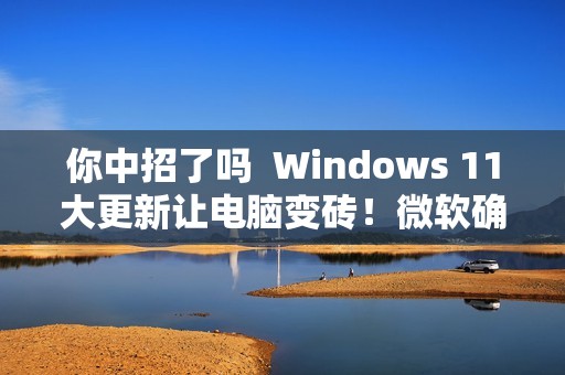 你中招了吗  Windows 11大更新让电脑变砖！微软确认翻车：目前尚无修复方案