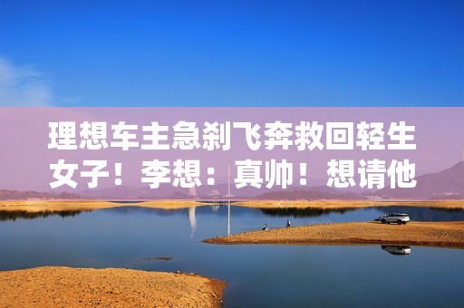 理想车主急刹飞奔救回轻生女子！李想：真帅！想请他吃个饭