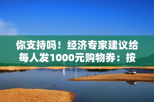 你支持吗！经济专家建议给每人发1000元购物券：按身份证发、没任何限制