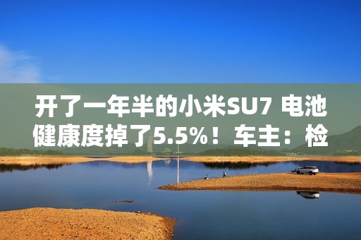 开了一年半的小米SU7 电池健康度掉了5.5%！车主：检测出来我震 惊了