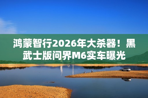 鸿蒙智行2026年大杀器！黑武士版问界M6实车曝光