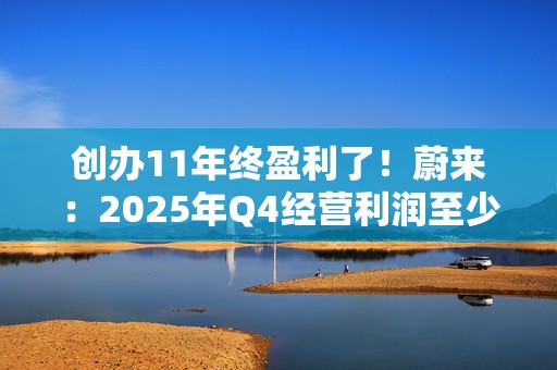 创办11年终盈利了！蔚来：2025年Q4经营利润至少7个亿