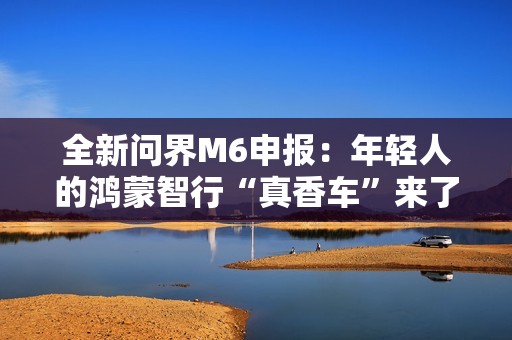 全新问界M6申报：年轻人的鸿蒙智行“真香车”来了