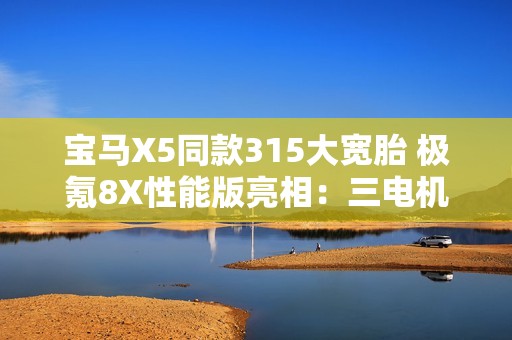 宝马X5同款315大宽胎 极氪8X性能版亮相：三电机+电动尾翼