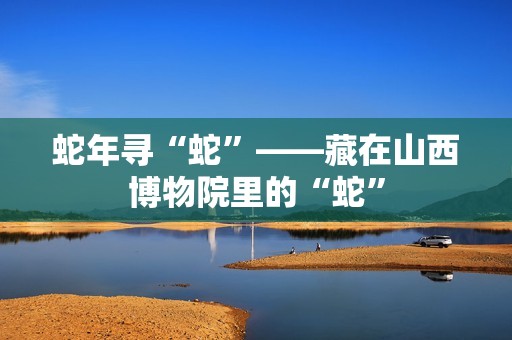 蛇年寻“蛇”——藏在山西博物院里的“蛇”