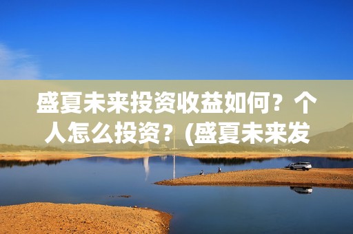 盛夏未来投资收益如何？个人怎么投资？(盛夏未来发行公司)
