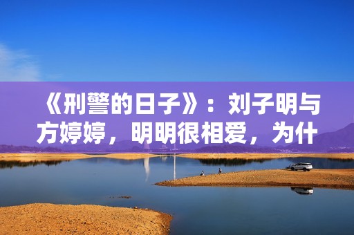 《刑警的日子》：刘子明与方婷婷，明明很相爱，为什么却要分开？