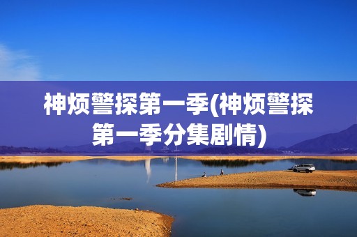 神烦警探第一季(神烦警探第一季分集剧情)