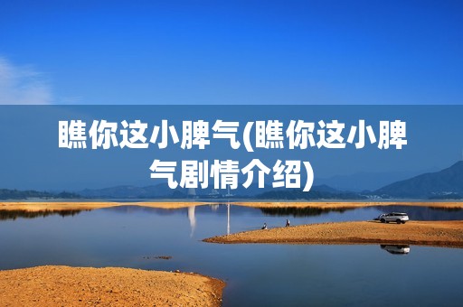 瞧你这小脾气(瞧你这小脾气剧情介绍)