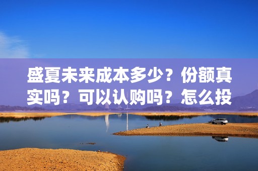 盛夏未来成本多少？份额真实吗？可以认购吗？怎么投资？(盛夏未来投资成本多少)