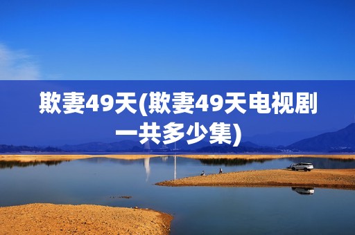 欺妻49天(欺妻49天电视剧一共多少集)