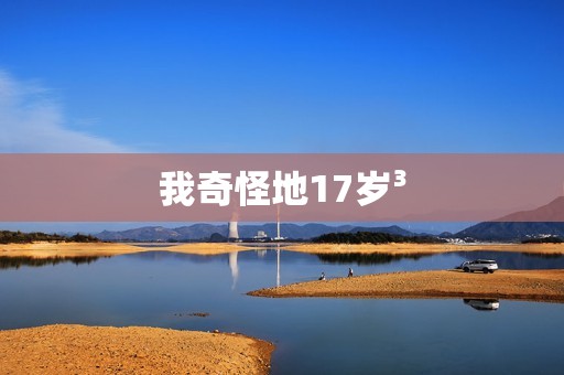 我奇怪地17岁³