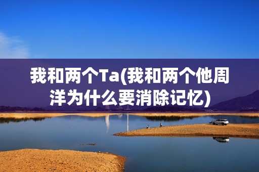 我和两个Ta(我和两个他周洋为什么要消除记忆)