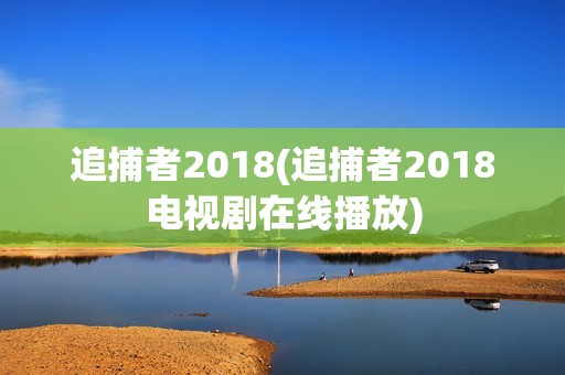 追捕者2018(追捕者2018电视剧在线播放)