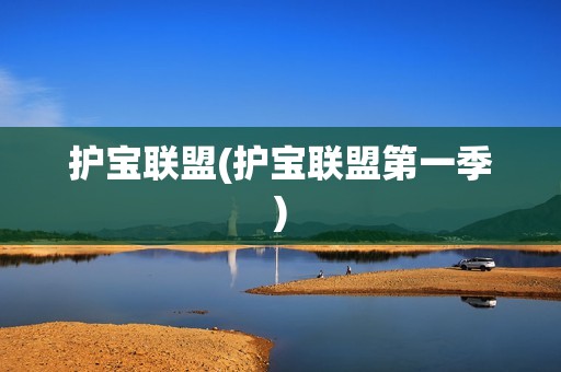 护宝联盟(护宝联盟第一季)