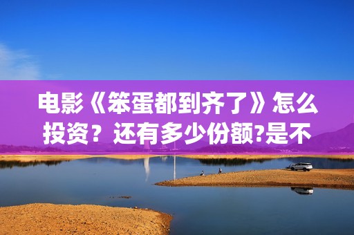 电影《笨蛋都到齐了》怎么投资？还有多少份额?是不是正规渠道?(《笨蛋》)
