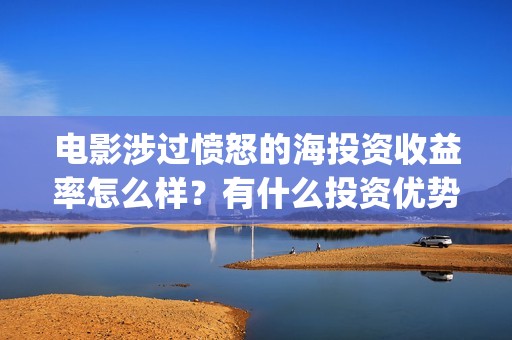 电影涉过愤怒的海投资收益率怎么样？有什么投资优势亮点？(电影涉过愤怒的海解析)