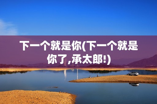 下一个就是你(下一个就是你了,承太郎!)