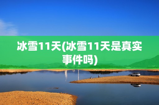 冰雪11天(冰雪11天是真实事件吗)