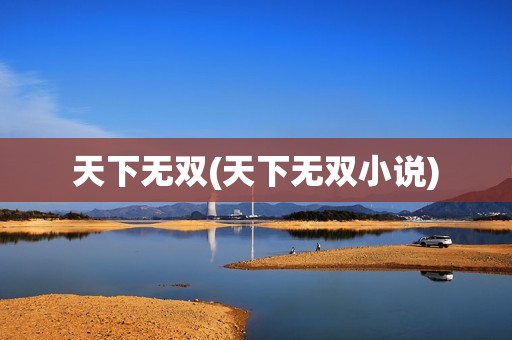 天下无双(天下无双小说)