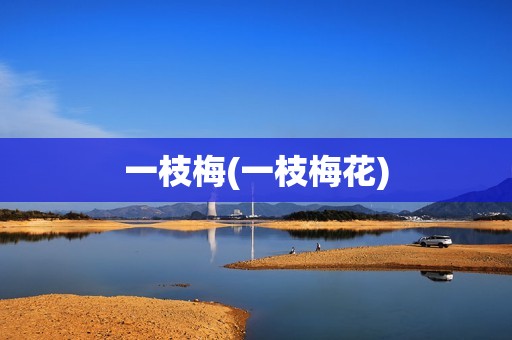 一枝梅(一枝梅花)