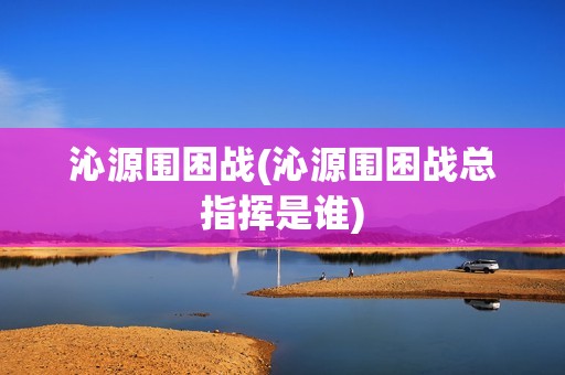 沁源围困战(沁源围困战总指挥是谁)