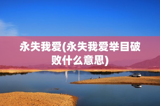 永失我爱(永失我爱举目破败什么意思)