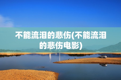 不能流泪的悲伤(不能流泪的悲伤电影)
