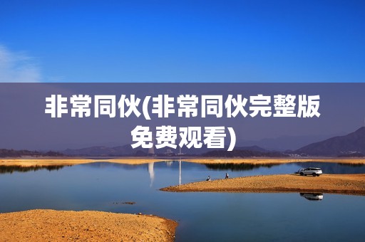 非常同伙(非常同伙完整版免费观看)
