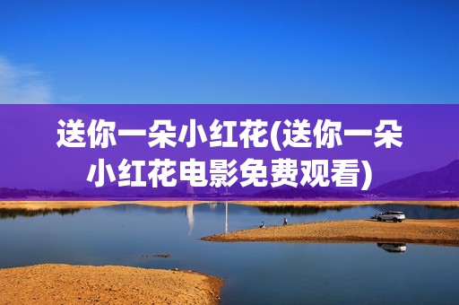 送你一朵小红花(送你一朵小红花电影免费观看)