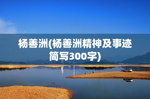 杨善洲(杨善洲精神及事迹简写300字)