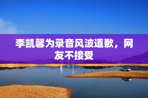 李凯馨为录音风波道歉，网友不接受