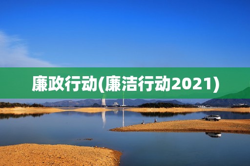 廉政行动(廉洁行动2021)