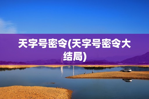 天字号密令(天字号密令大结局)