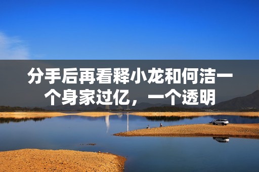 分手后再看释小龙和何洁一个身家过亿，一个透明