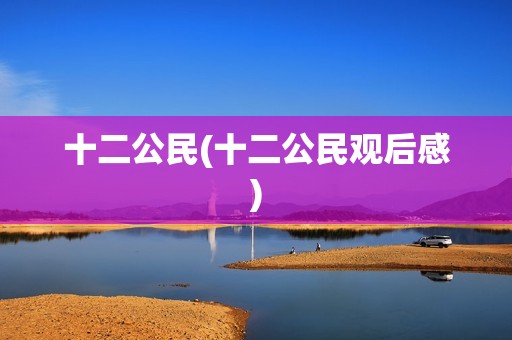 十二公民(十二公民观后感)
