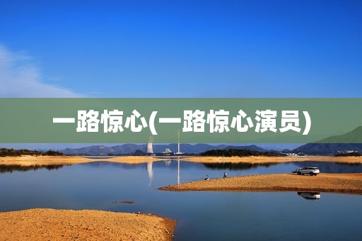 一路惊心(一路惊心演员)